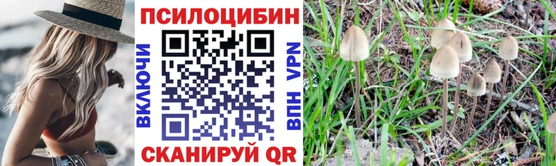 ссылка на мегу зеркало Чишмы Галлюциногенные грибы мухоморы даркнет сайт